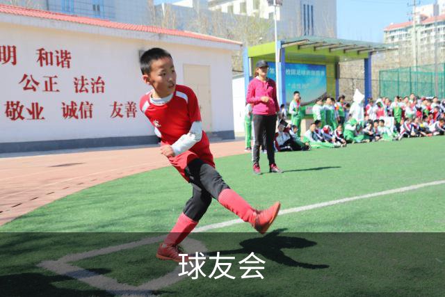 球友会公司简介